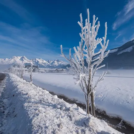 Appartement Sun Valley Top13 Maishofen